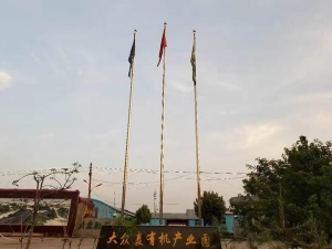 大眾廠(chǎng)貌